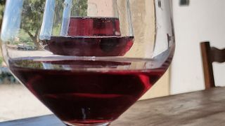 Valpolicella überall