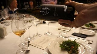 Selezione Degustazione Vini (4 Etichette Nere) | La Biòca