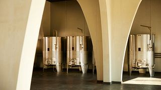 Experiencia Prosper - 5 vinos, incluidos 2 Premier Cru