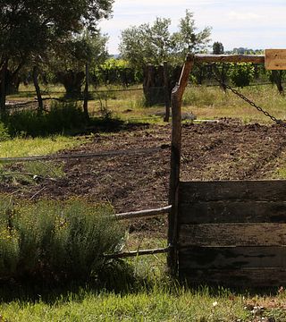 Bodega Alpamanta