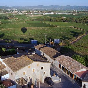 Hébergement rural au domaine viticole et domaine Suriol