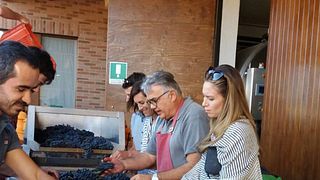 Mauro Sebaste Winery
