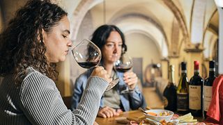 Wine Tasting near Juliet's House in Verona with Valpolicella