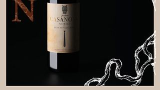 Montepulciano: Winery tour - Wine Tasting "Del Casanova"