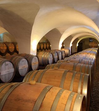 Dégustation de vins et visite à Winkler-Hermaden