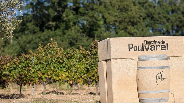 Degustazione di vini e visita al Domaine de Poulvarel