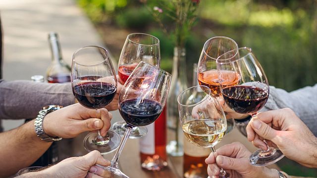 Degustazione della Bassa Galilea presso l'azienda vinicola Netofa