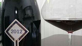 Burgundy Wine: Tasting with Gavignet