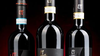 Lazzeretti Winery
