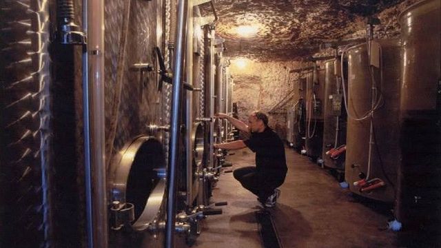 Cata de vinos y visita guiada en Earl Gabriele et Régis Dansault