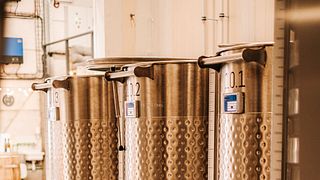 Degustazione di vini e tour dei vigneti