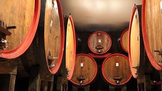 Terre del Barolo