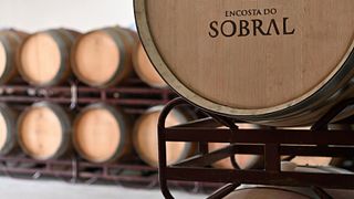 Tejo Wine & Flavors: Encosta do Sobral Tasting