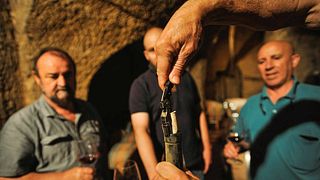 Degustação de vinhos e tour nas Bodegas Belote