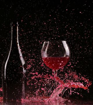 Degustação de vinhos populares na vinícola 919