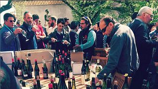 Wine tasting and tour at Domaine de la Couvette