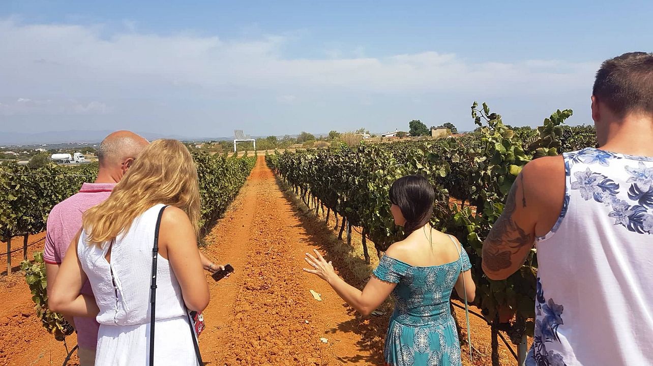 Explore Algarve's Wineries, Wine-Making, Tastings at 2 Estates