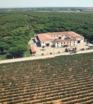 Entdecken Sie La Jaraba: Weinprobe, Oleotourismus und Lactealtourismus