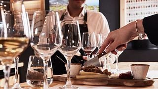 Luxury Wine Experience from Rome with Private Transfer