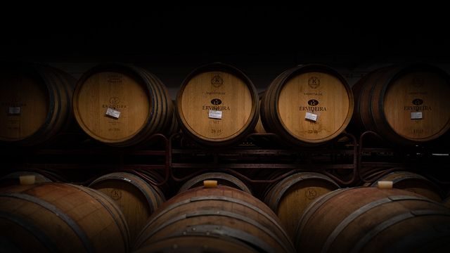 La Ruta del Vino en Ervideria