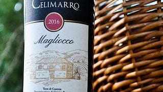 Weinprobe und Tour im Tenuta Celimarro