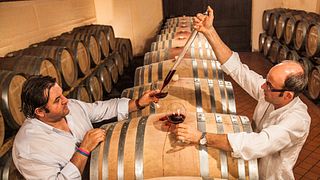 Wine Tasting and Tour at F.lli Massucco Winery