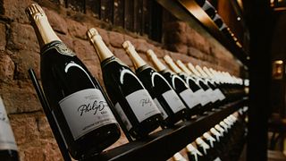 Das Cap Classique-Erlebnis