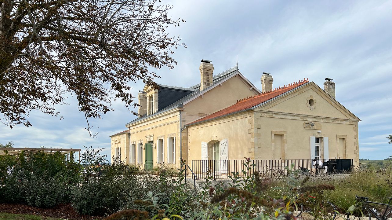 Privat rundtur med provsmakningar i Bordeaux vingårdar
