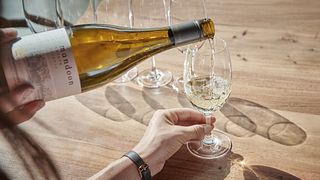 Visite d'immersion dans le vin