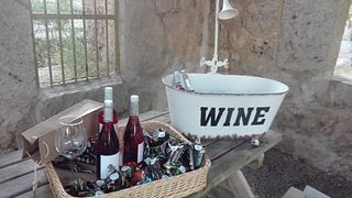Castilla y León Vineyard Escape & Tasting