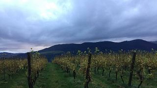 Bodegas Sel D’Aiz