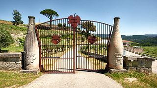 Bodegas Marqués De Vizhoja