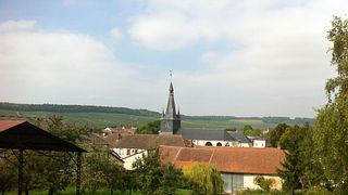 Vinprovning och rundtur på Champagne Naveau