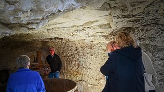 Wine tasting and tour at Domaine du Vieux Pressoir