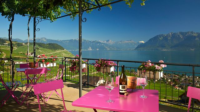 Weinprobe im Domaine Croix Duplex