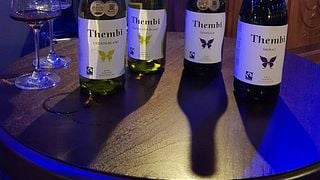 Weinprobe und Tour bei Thembi Wines