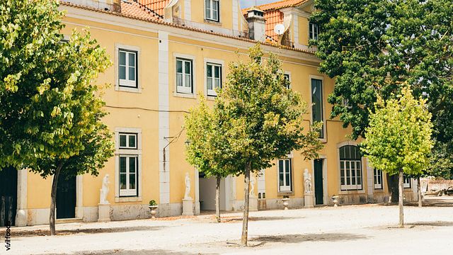 Rundtur, vagn och vinprovning på Quinta Da Lagoalva 
