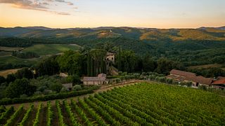 Caminhe e prove na Fattoria Della Aiola
