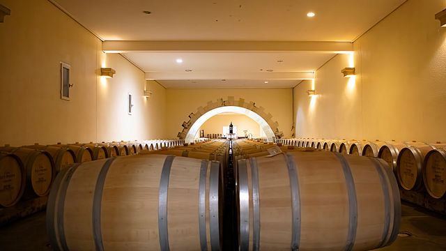 Degustazione di 4 vini terroir