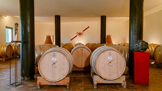Wine Tasting "Pulin"