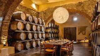 New & Old Vineyards | Alentejo, Portugal