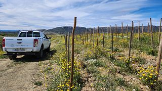 Catalonia Wine & Vineyard Journey at Clos Pachem