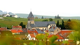 Sébastien, organizer of Champagne Tours