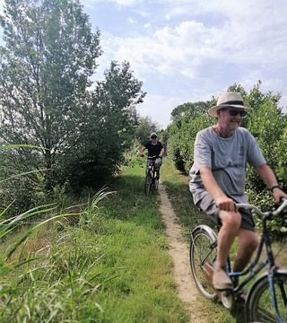 Passeio de bicicleta e degustação de vinhos na ilha de Sant'Erasmo em Veneza