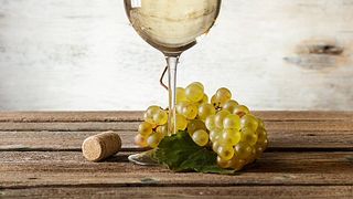 Shirvan Valley Vineyard Tour & Premium Tasting