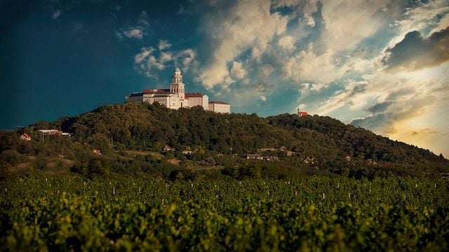 Pannonhalma Archabbey Winery