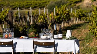 Visit the winery and enjoy a Tapas-style Lunch