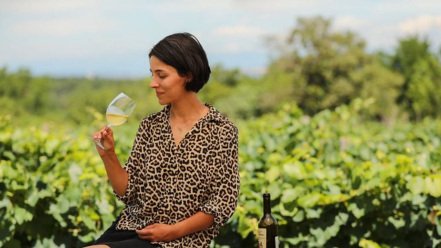 Dégustation de vins et visite chez Baia's Wine