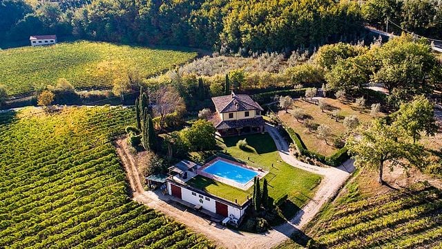 Tour dei vini e dei vigneti biologici toscani + degustazione di 5 vini abbinati a un pranzo leggero presso Manvi