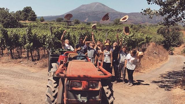 Sorrentino Vesuvio Winery